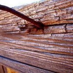 The Nails in the Fence